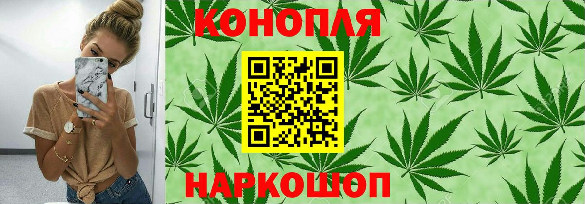 Шишки марихуана семена Тавда